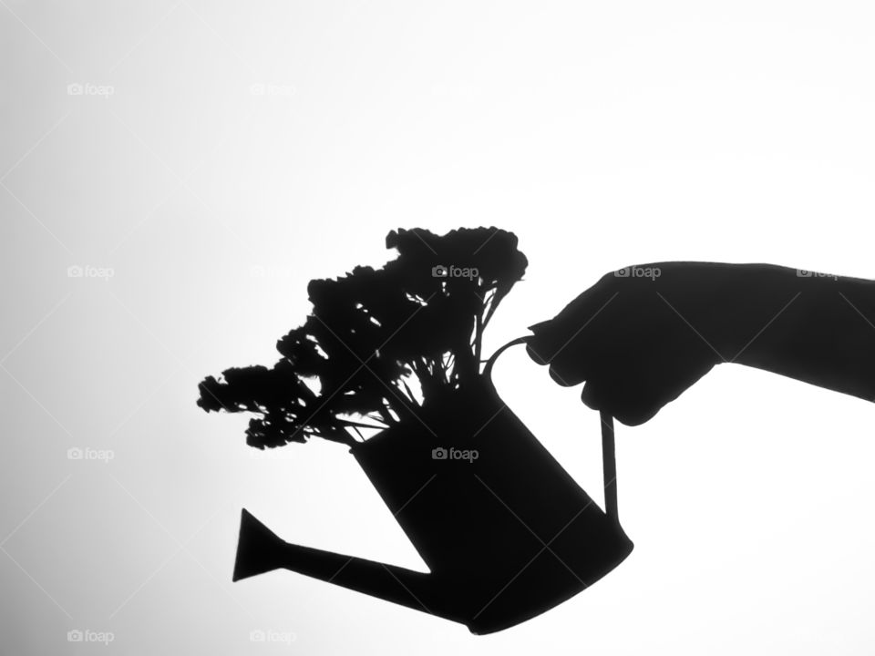 Shadow of watering can with flowers.