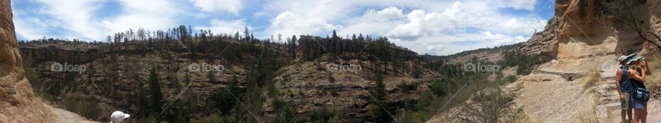 Gila National Forest
