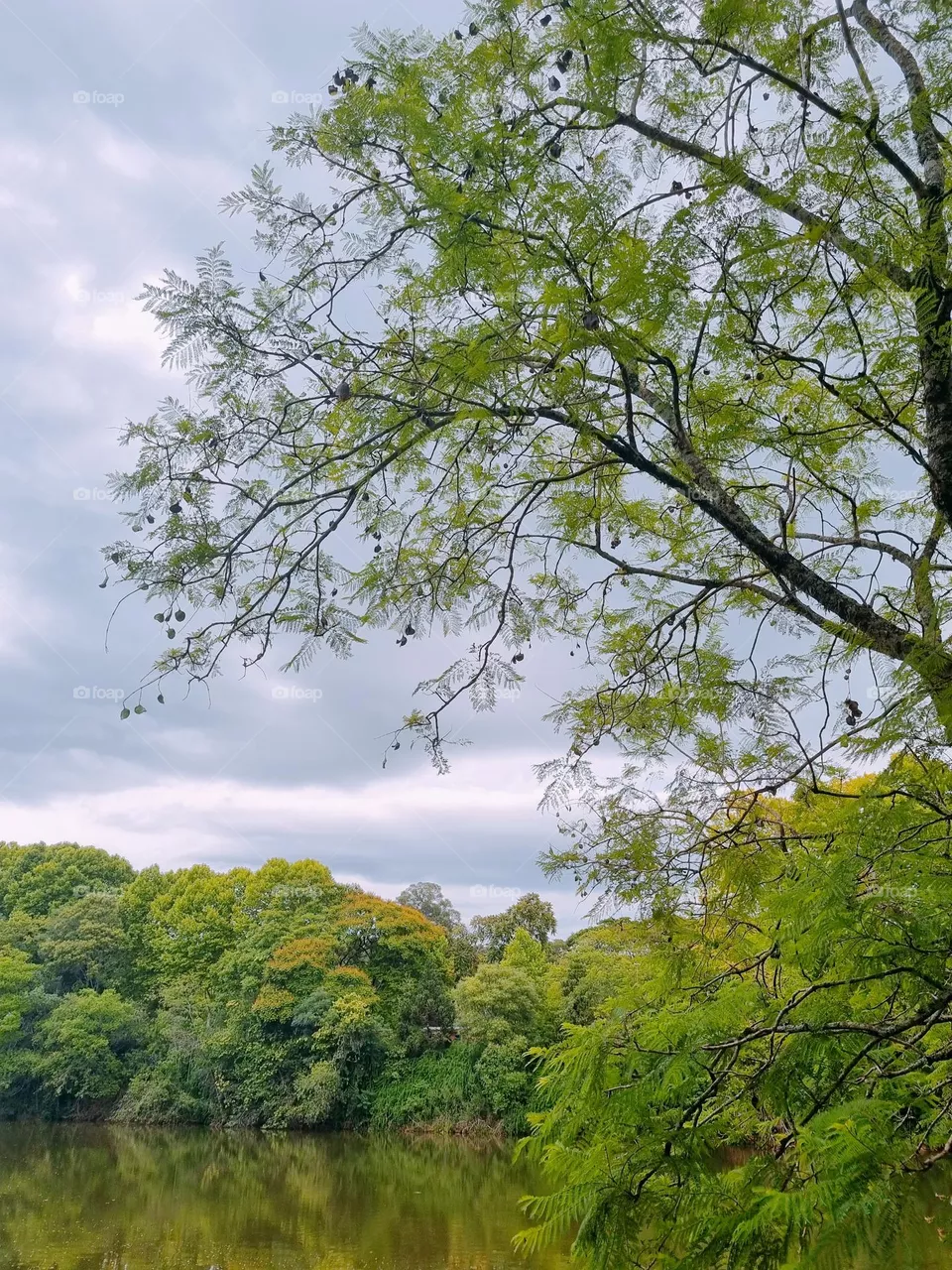 Natureza
