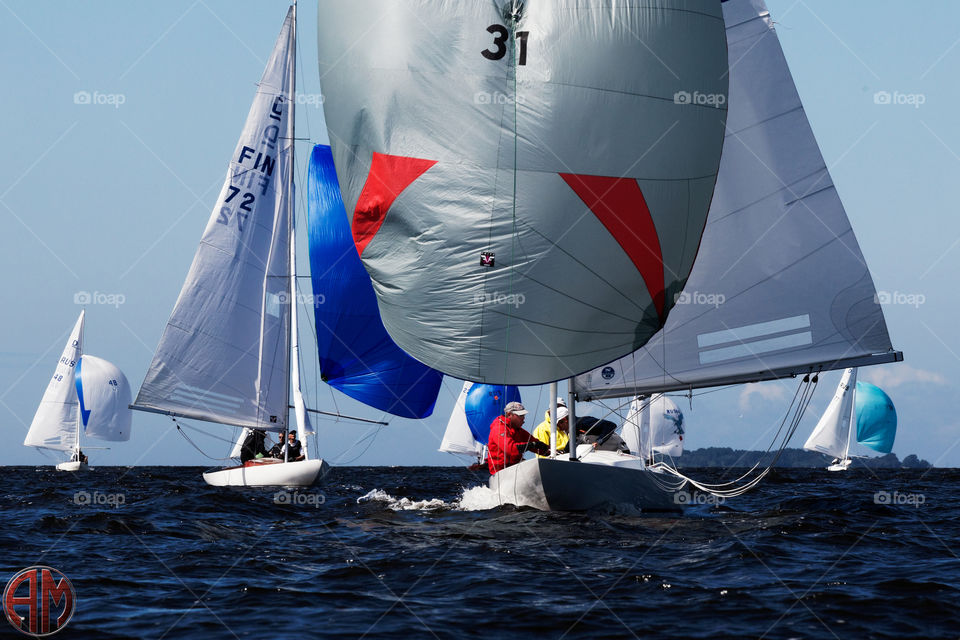 Sailing race, dragons