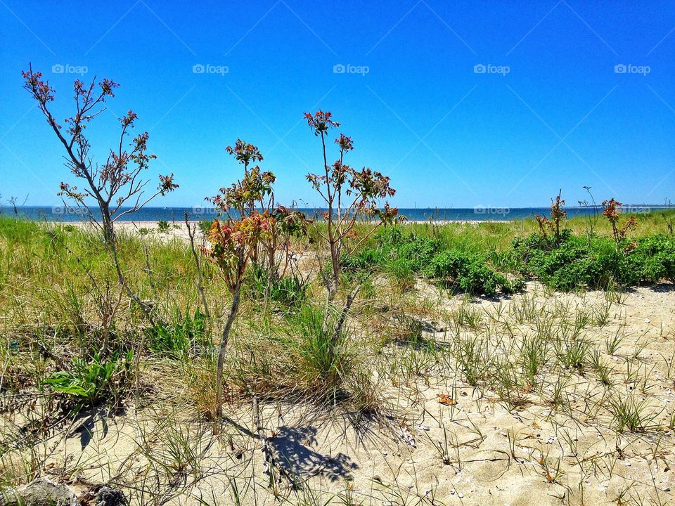 Stratford, CT. Long Beach Park