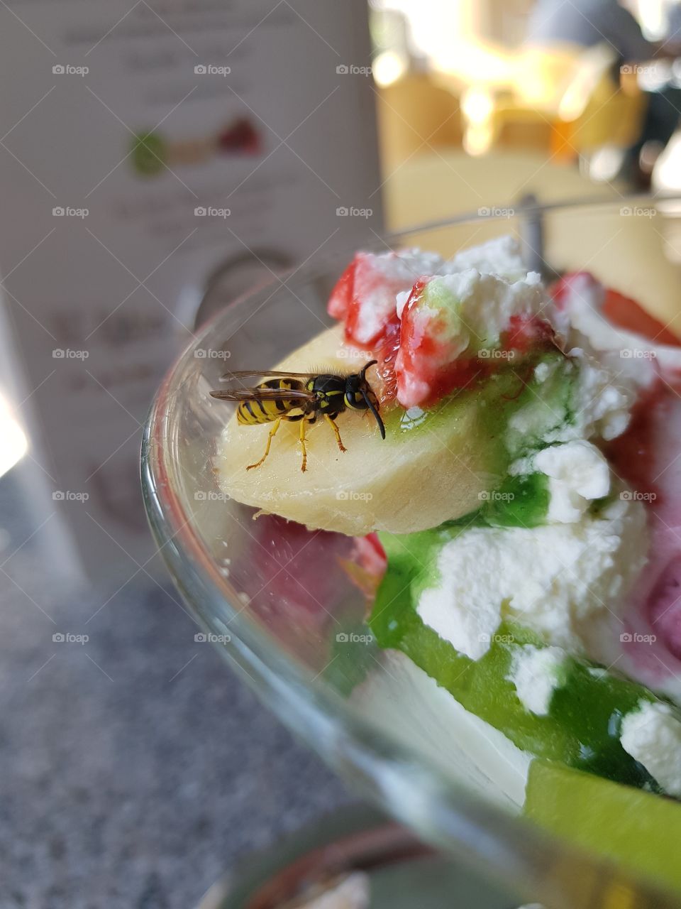 A hungry wasp