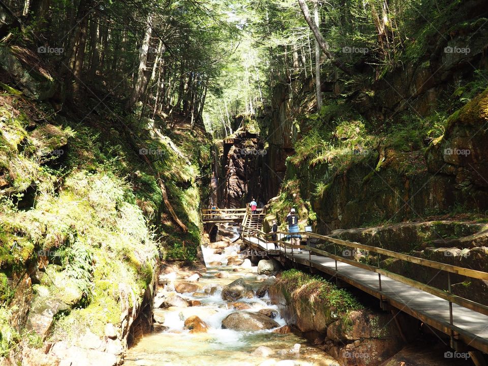 Vermont hiking 