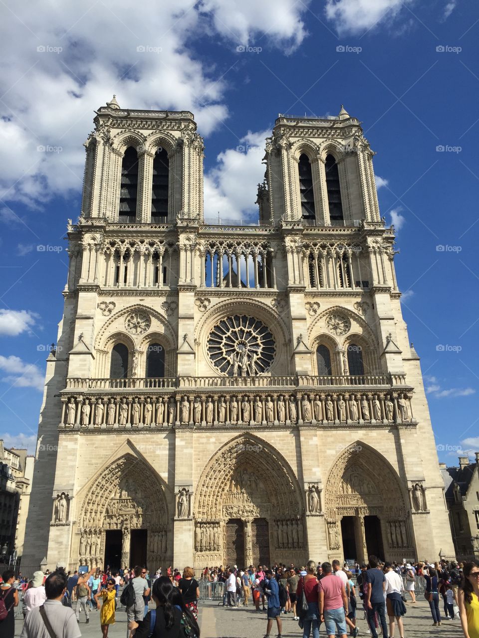 Notre - Dame Paris