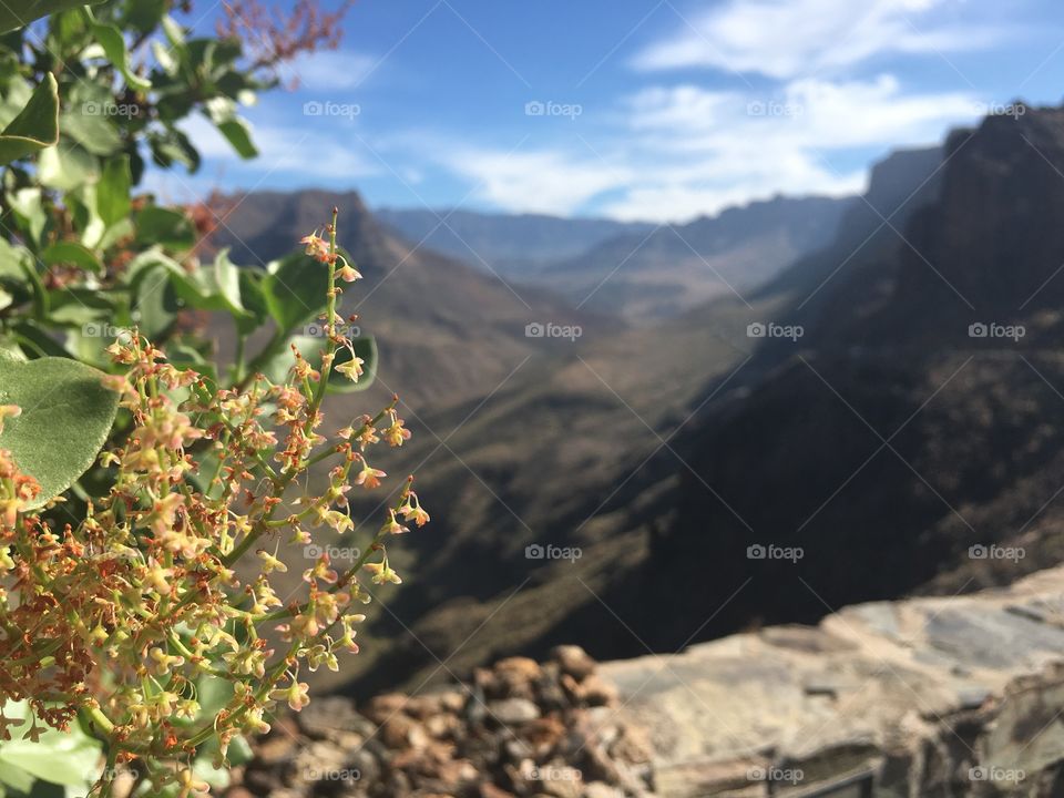 Mountains of the Canary islands