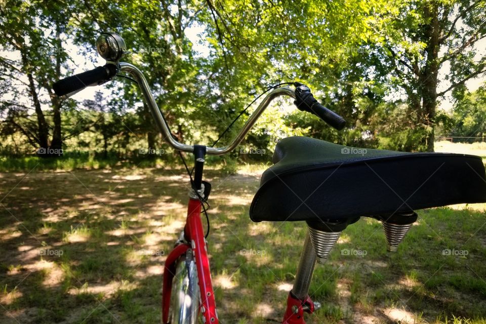 My Bicycle in the Speckled Sunlight Under Some Shade Trees