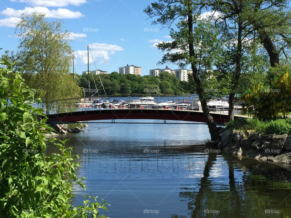 Summer in Stockholm