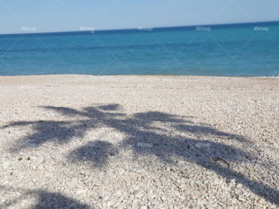 Beach#sea#stones#palm#silhouette