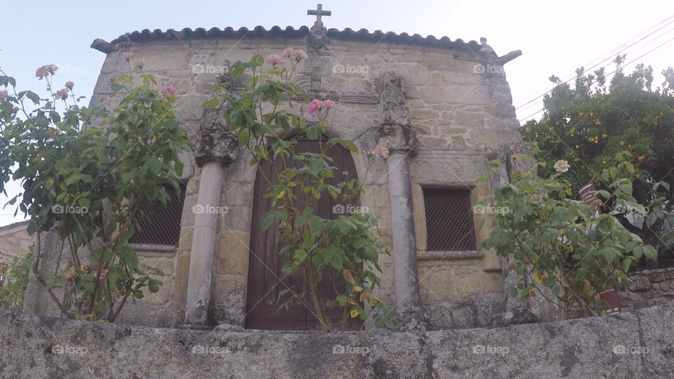 Small church with climbing plants and flowers on it