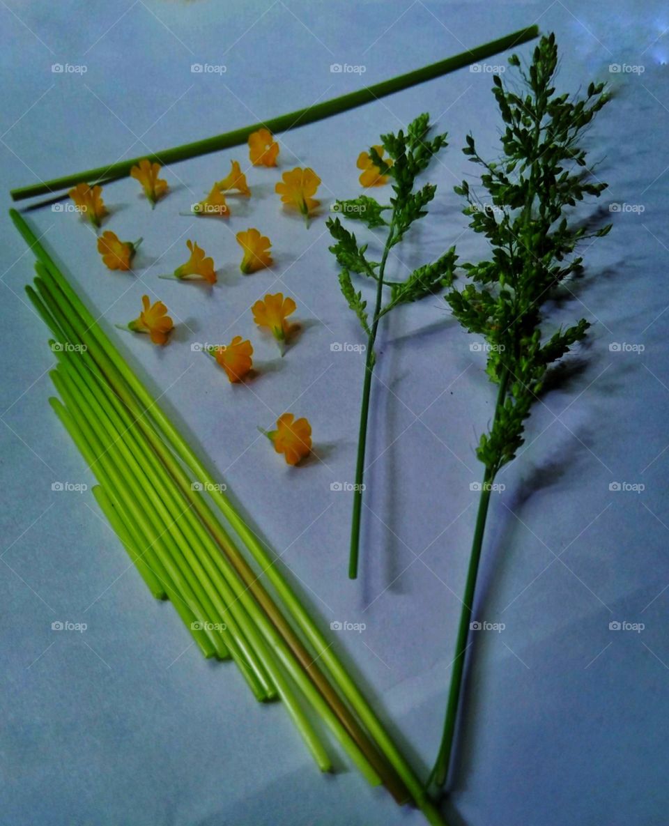 wild flowers on the paper