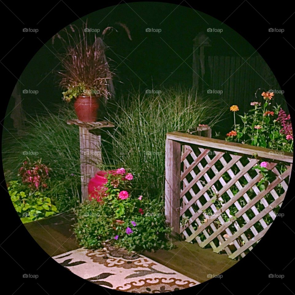 Garden at night