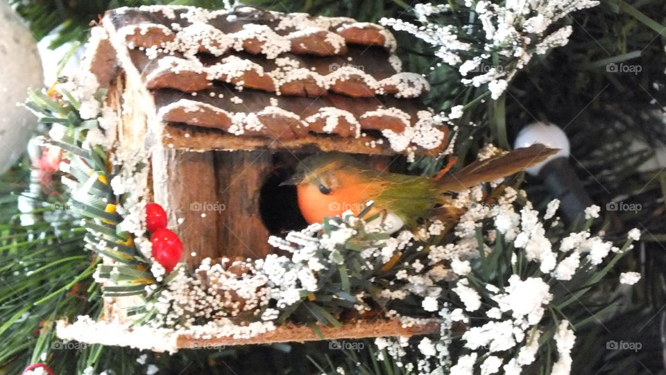 Christmas decoration of robin in a birdhouse 
