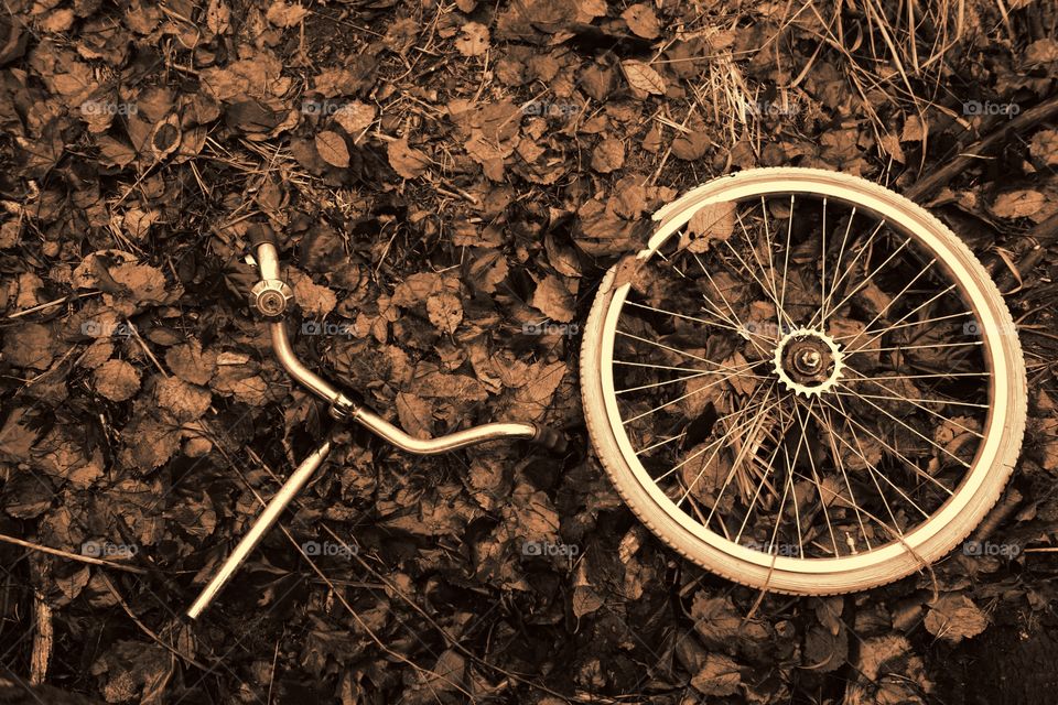 Decomposed bicycle parts. Decomposed bicycle wheel and handlebars with bell abandoned in the woods.