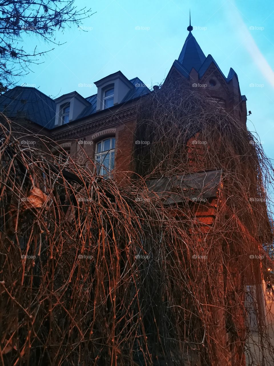 #moscow #spring #dusk #eclectic