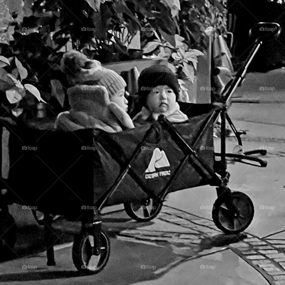 Asian toddlers sitting in a cart was stationed in front of a Christmas tree for a photo during a street fair in San Diego in December 2022.