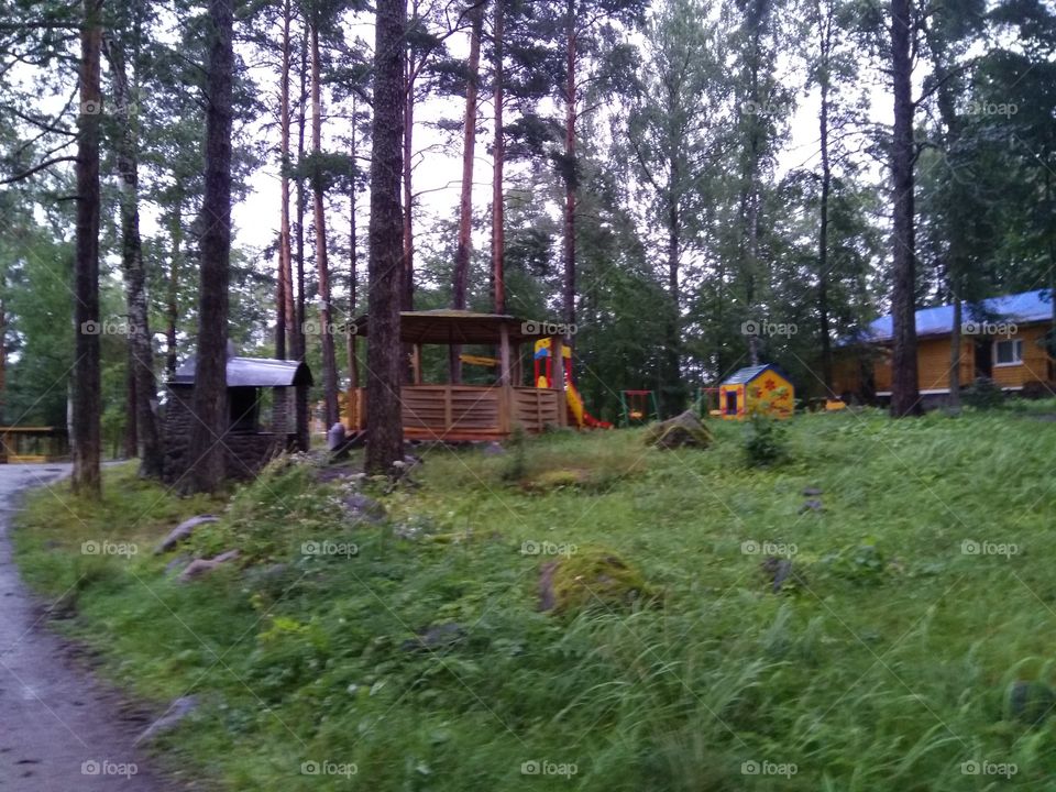 район приозерска на границе между Карелией и Ленинградской областью лес на берегу озера