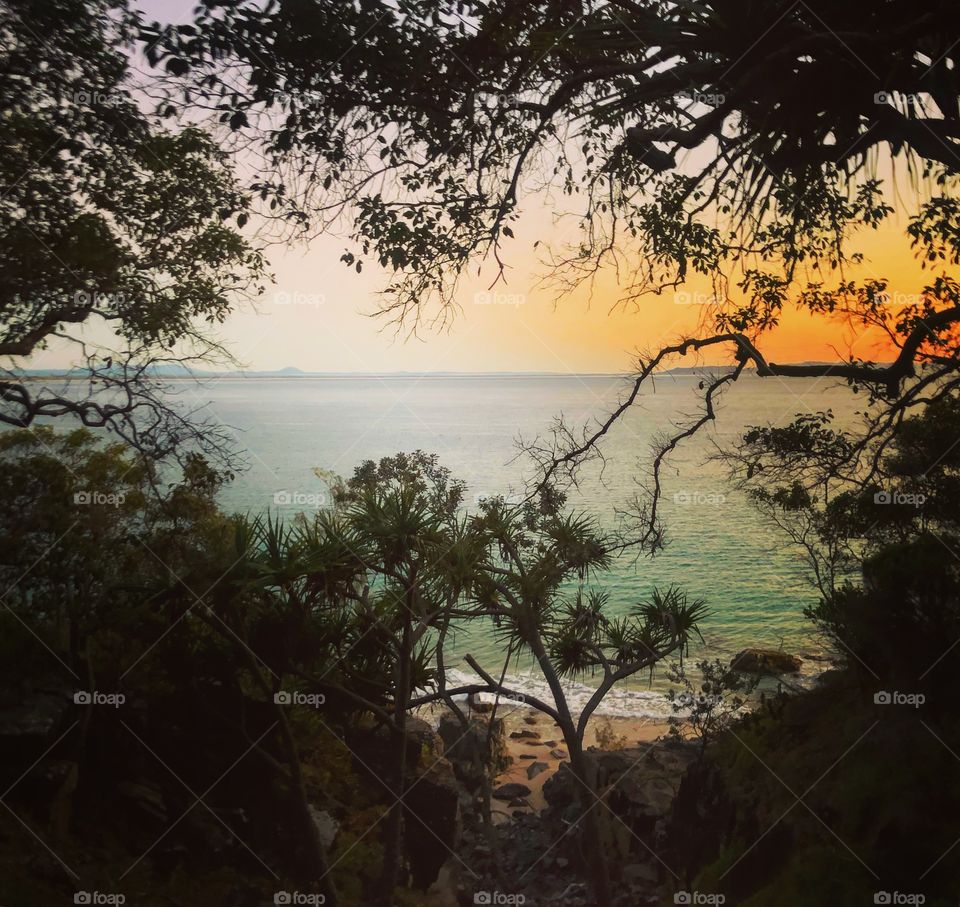 Through the dark trees to the tropical sea at sunrise 