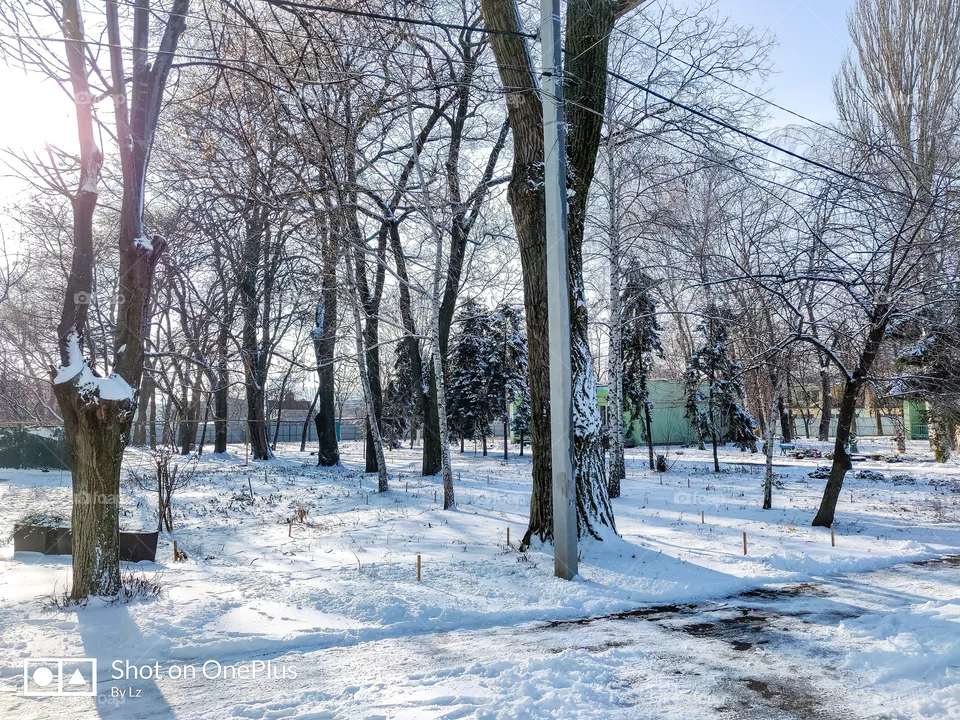winter
