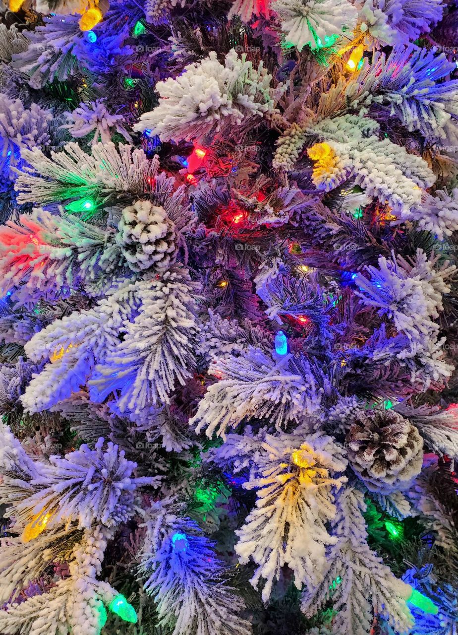 Christmas Tree of Snow and Lights