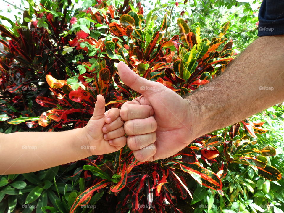 Learning and loving nature.