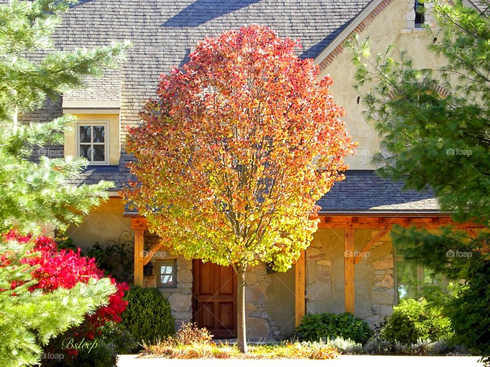Beautiful Home in Autumn 
