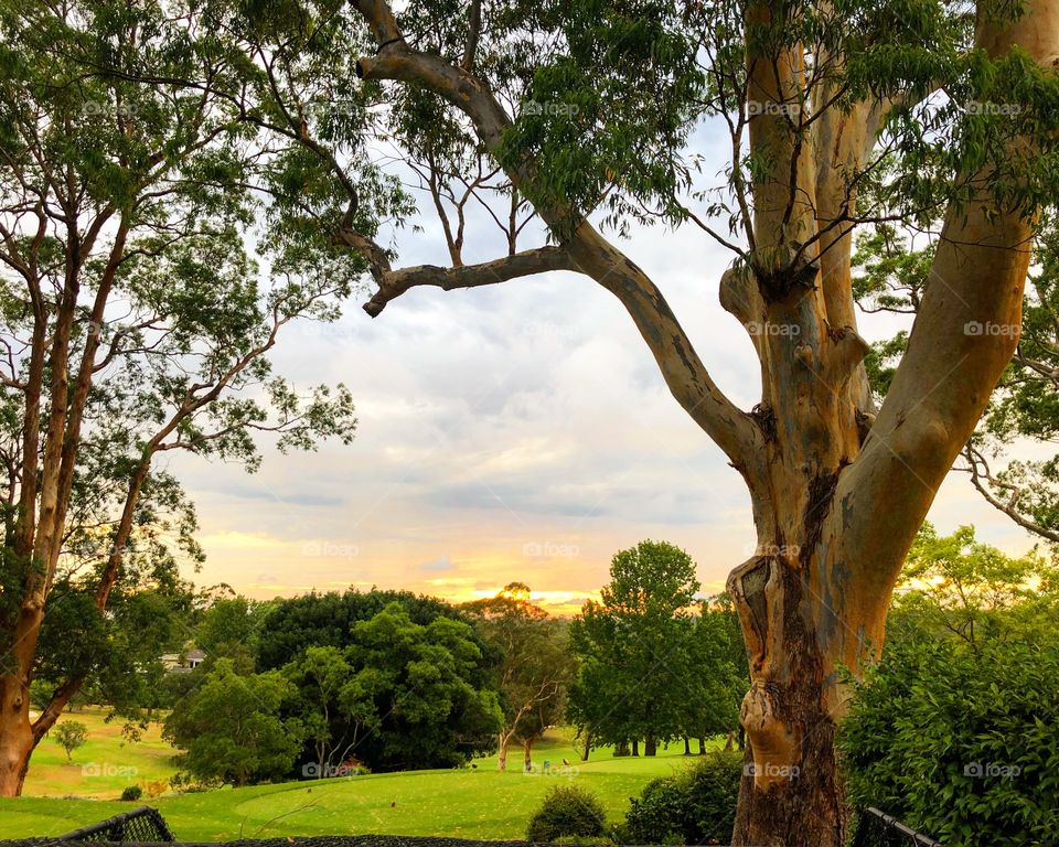 Sunset over the Pymble golf course 