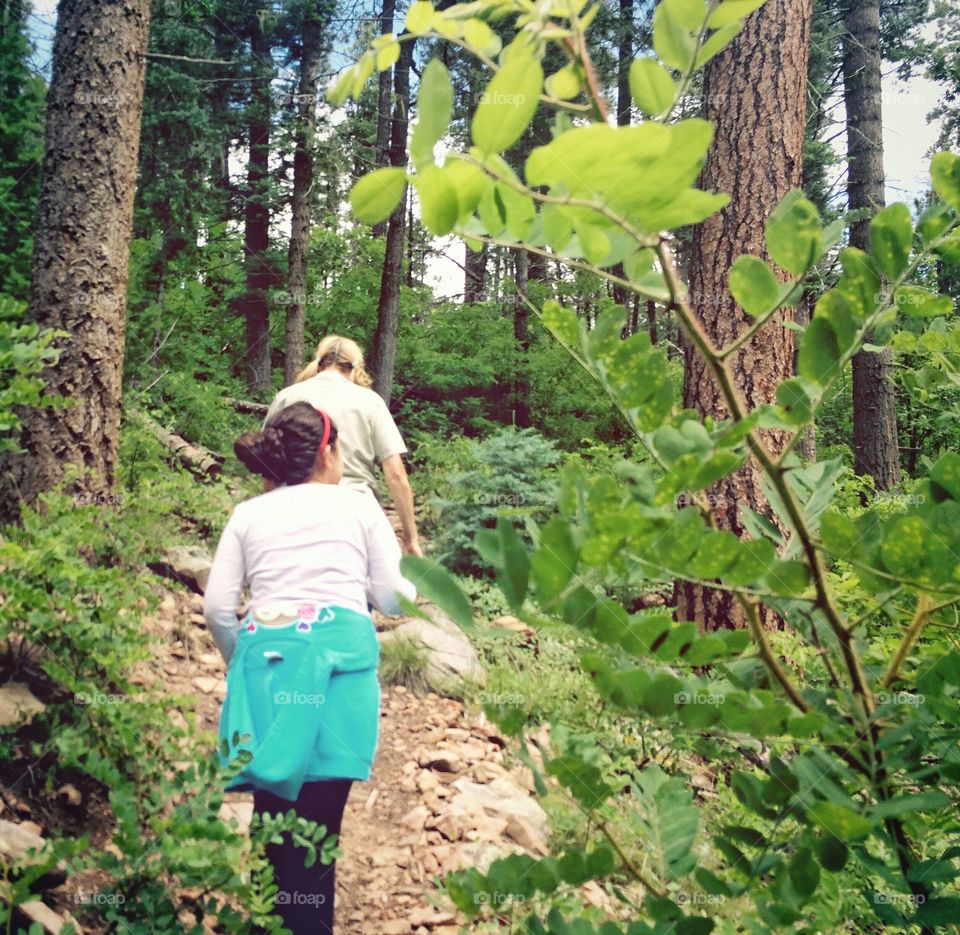 On the forest trail