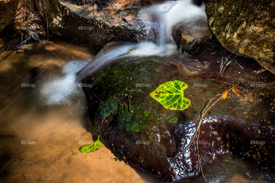 water running down some rocks with a fallen green leaf