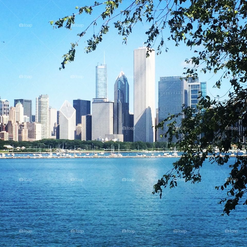 Chicago skyline