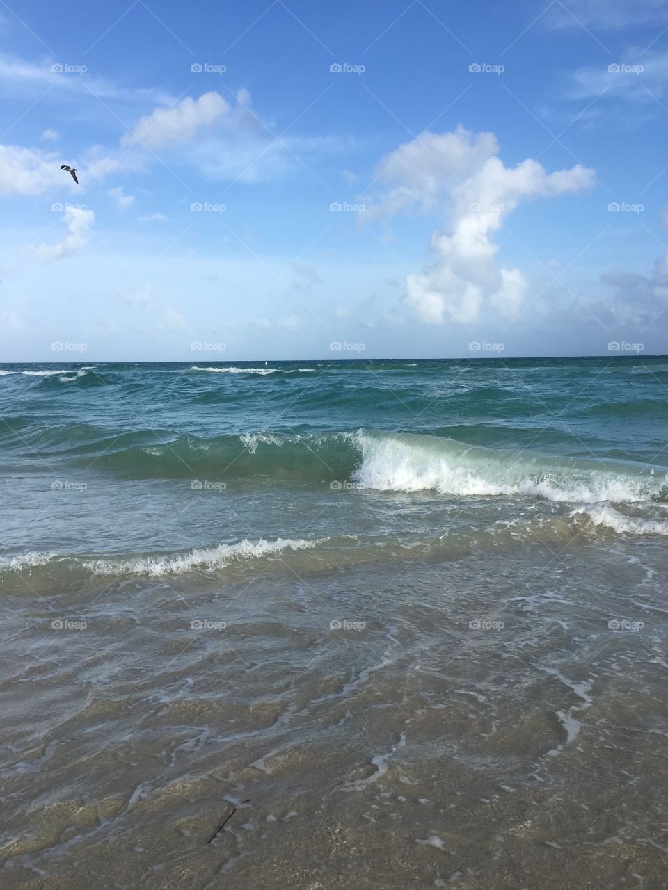 Waves crashing on the shore 