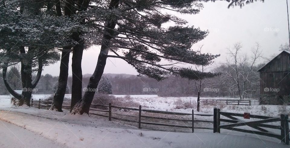 Snowy Morning on the Farm