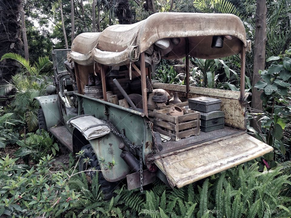 Transport in the forest