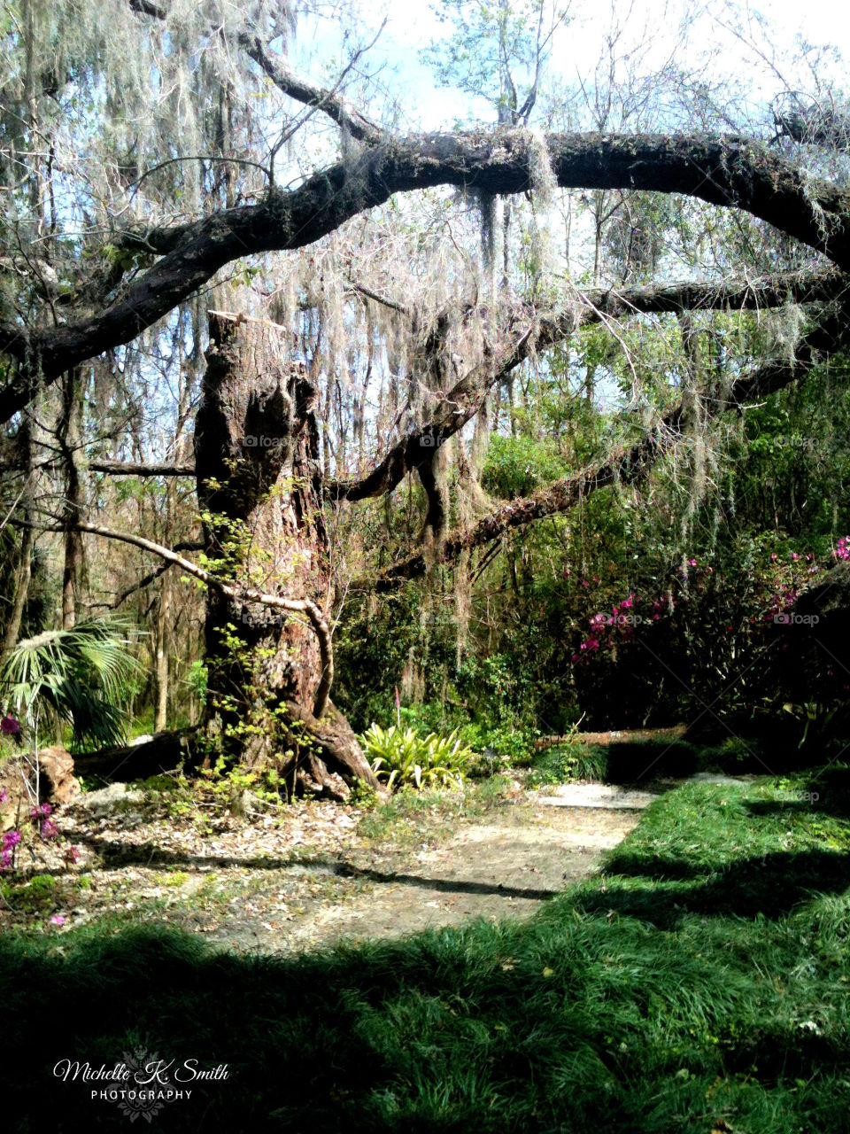 Live Oak Nature Trail