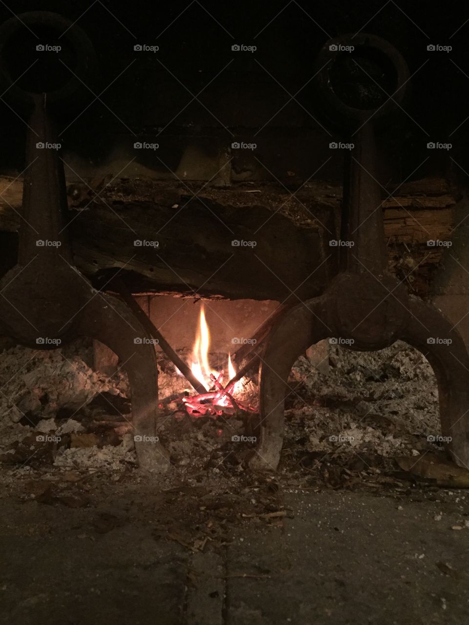 Wood fire in the fireplace