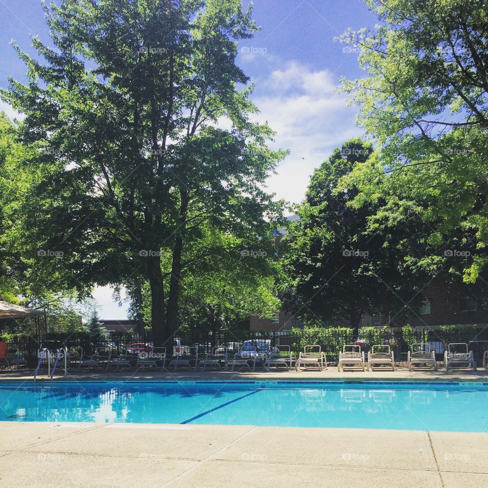 Picture Perfect Pool Day