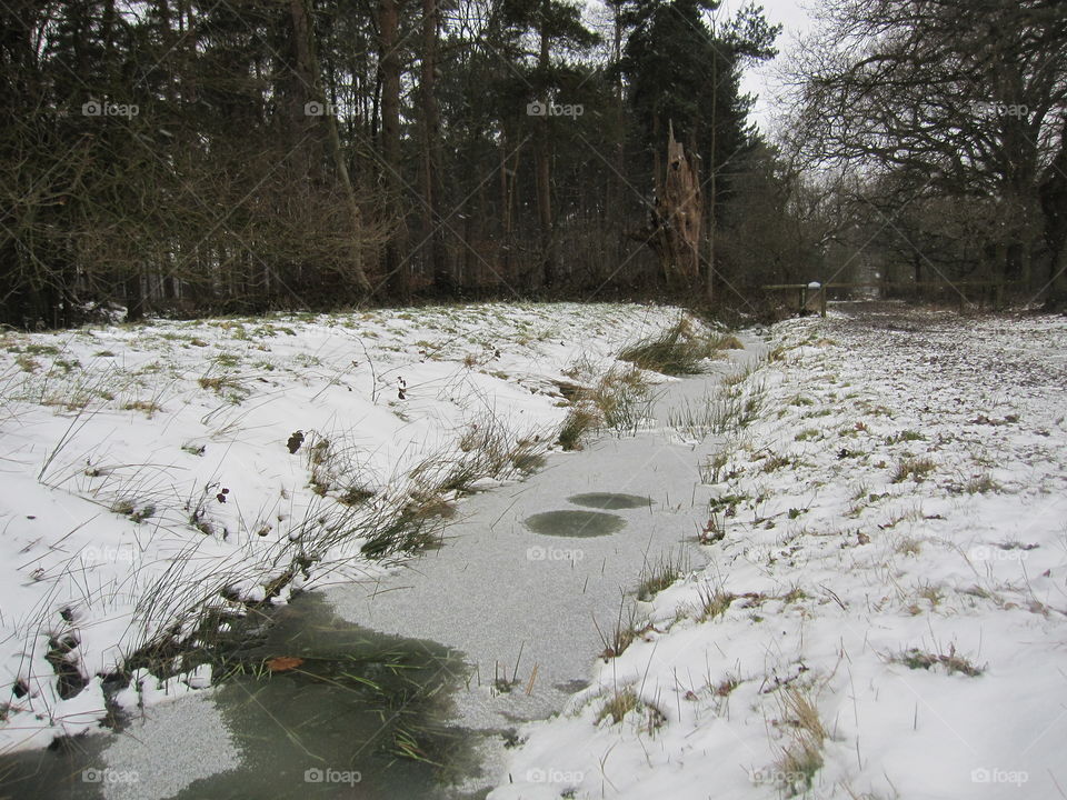 Frozen River