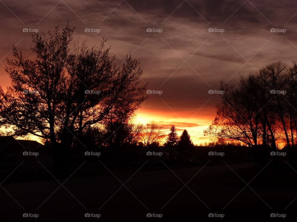 Silhouettes Against a Fire in the Sky