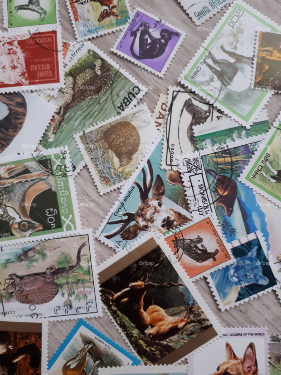 Stamps animals