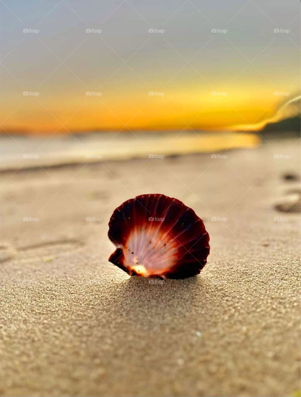 Sunrise through a seashell in the sand of Locmiquel beach
