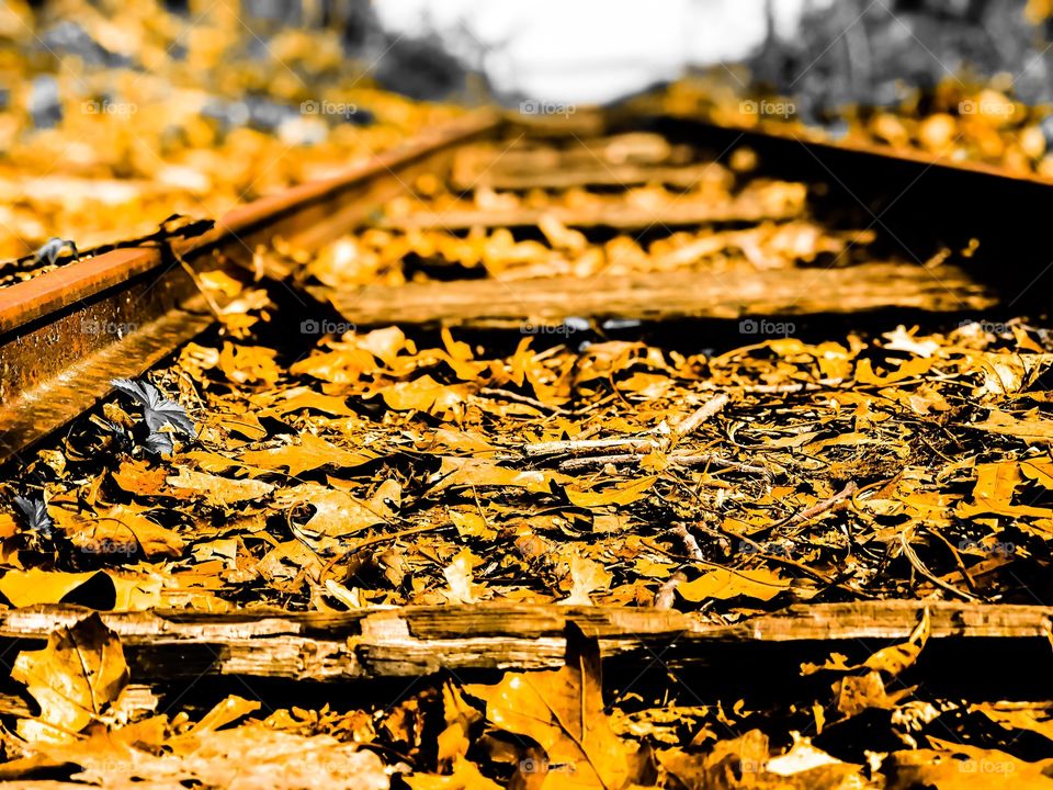 Old forgotten rusted track
