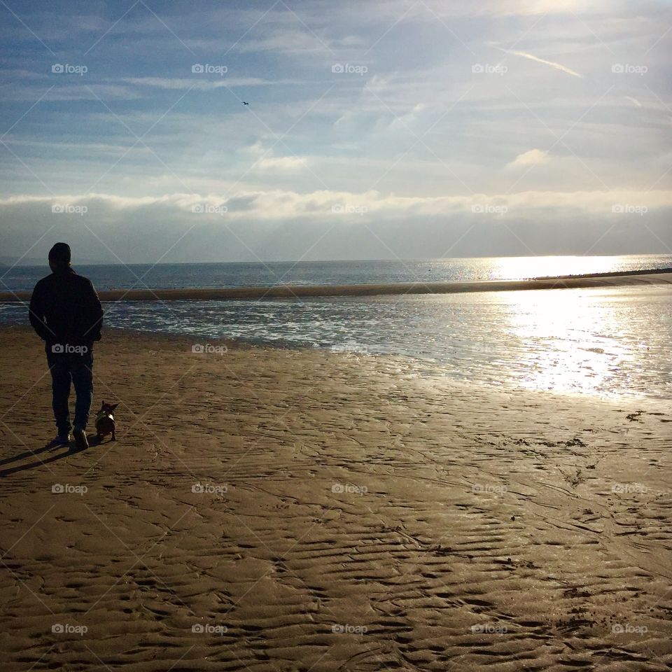 Man and dog walking on beach