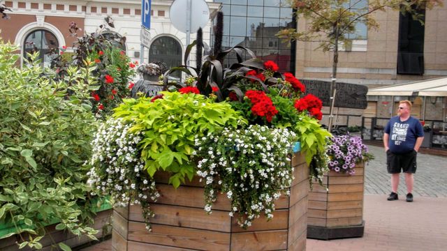 Urban plant