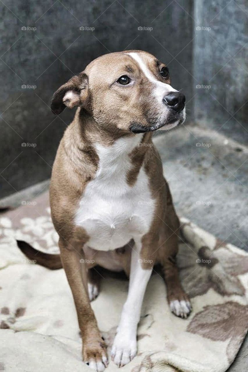 esperando alguien uque me quiera