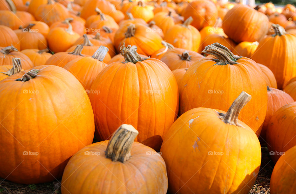 Pumpkins