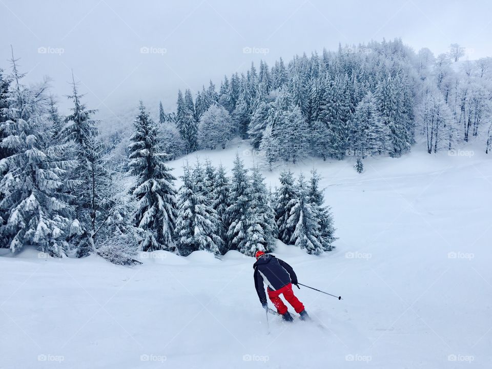 Skiers on the ski slope surrounded by snowy forest