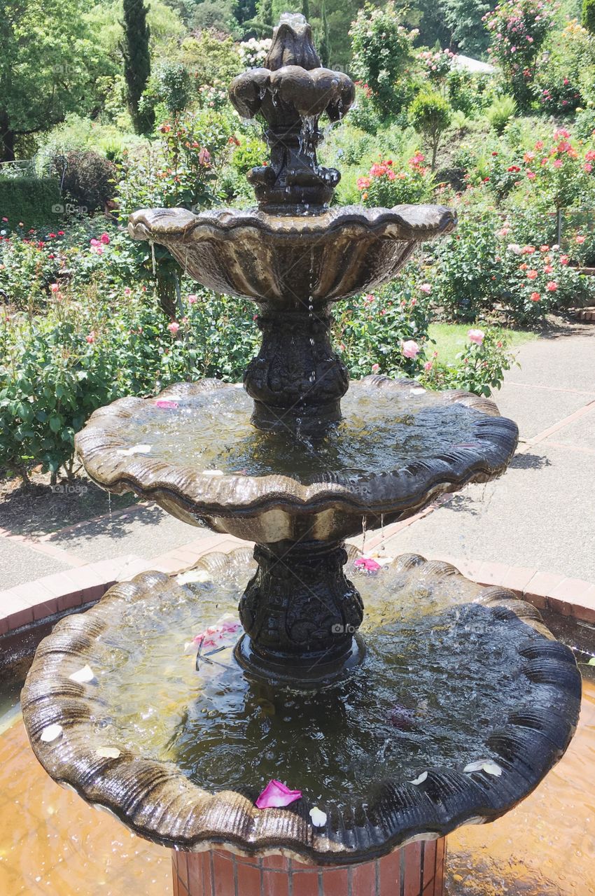 Fountain symmetry 