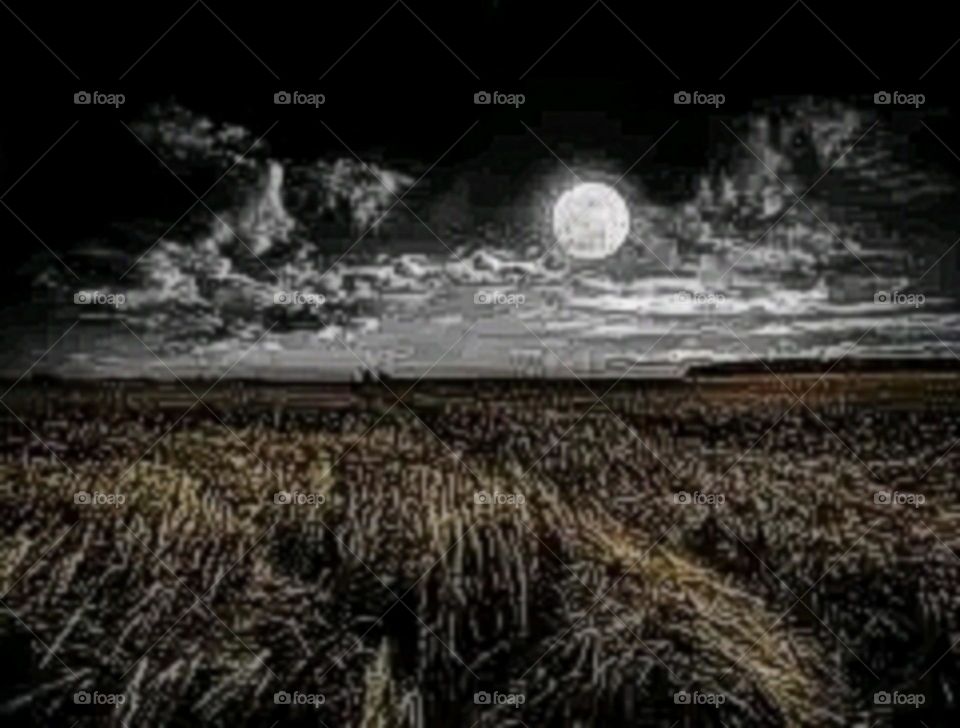 A most beautiful and attractive view of the moon.