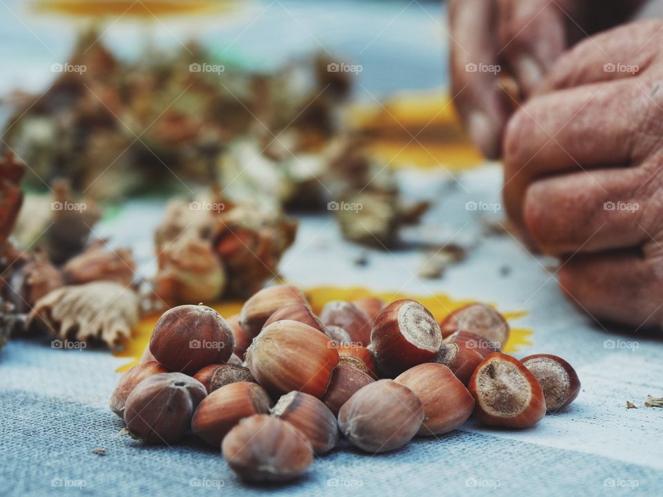 Hazelnuts