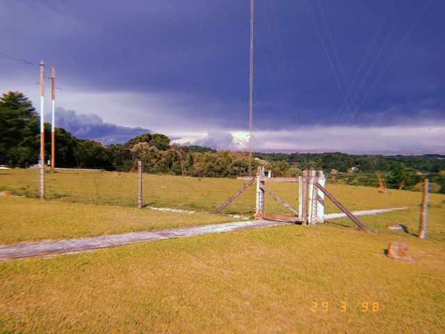 tarde maravilhosa no quintal da casa.