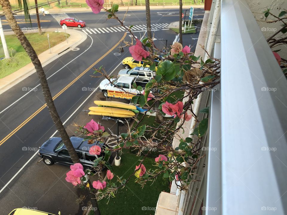  View from a balcony 